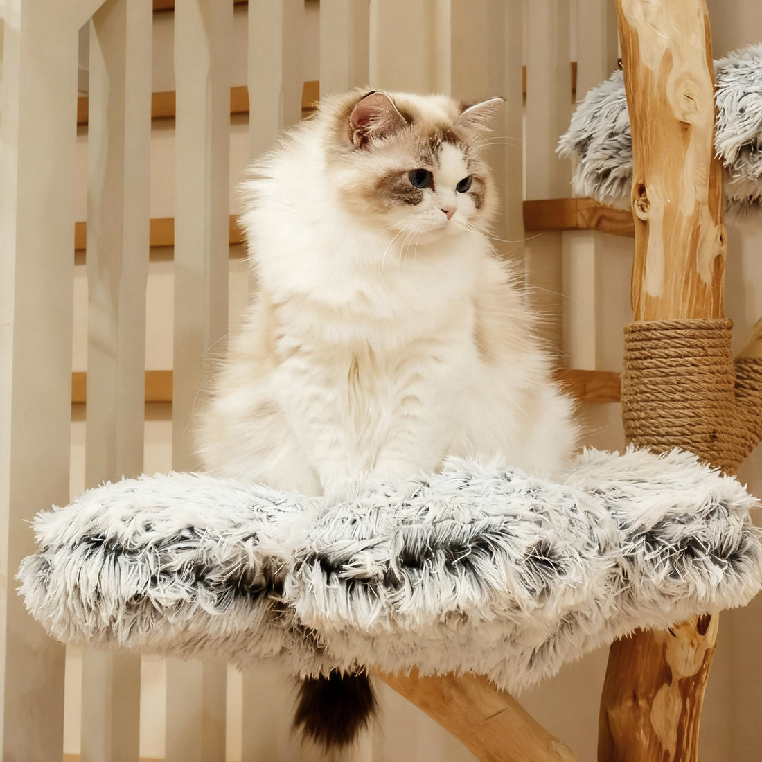 猫がキャットタワーを遊ばない!その理由と対策法は何でしょうか