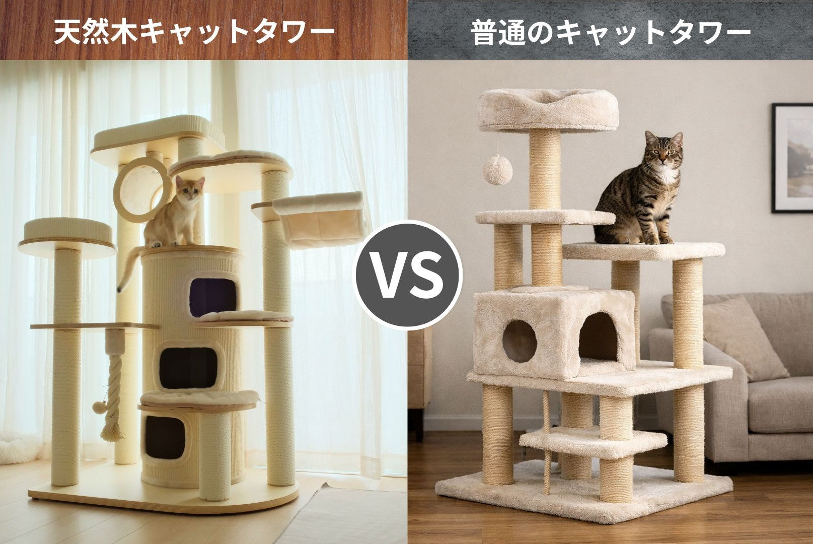 天然木キャットタワーと普通のキャットタワーの違いとは？後悔しない
