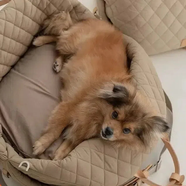 北欧風キャリーバッグ 3way犬用/猫用キャリーバッグ 車に乗せる軽量 ドライブバッグ愛犬愛猫にも人にも優しい人気キャリー おしゃれ