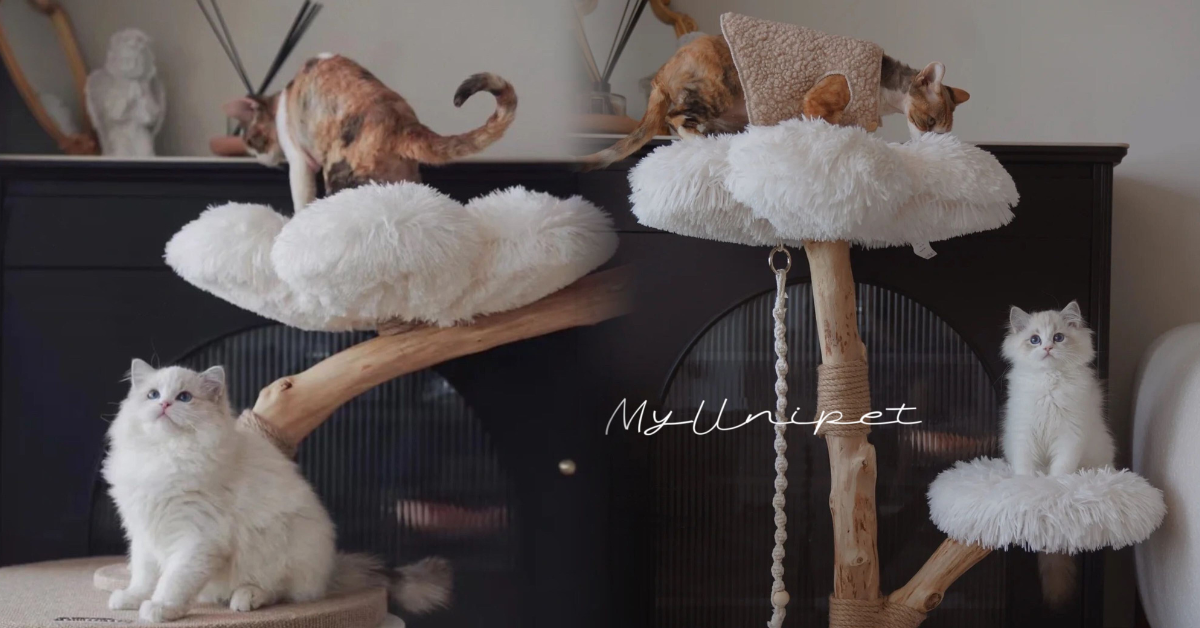 ペット用品通販 | MyUnipet - 快適なペットライフをサポート ペット用品通販 | MyUnipet - 快適なペットライフをサポート