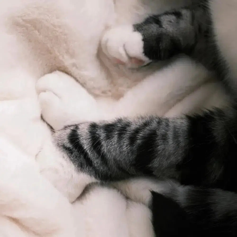 北欧風手編み猫ベッド/犬ベッド 天然素材 ペットベッド クッション付き