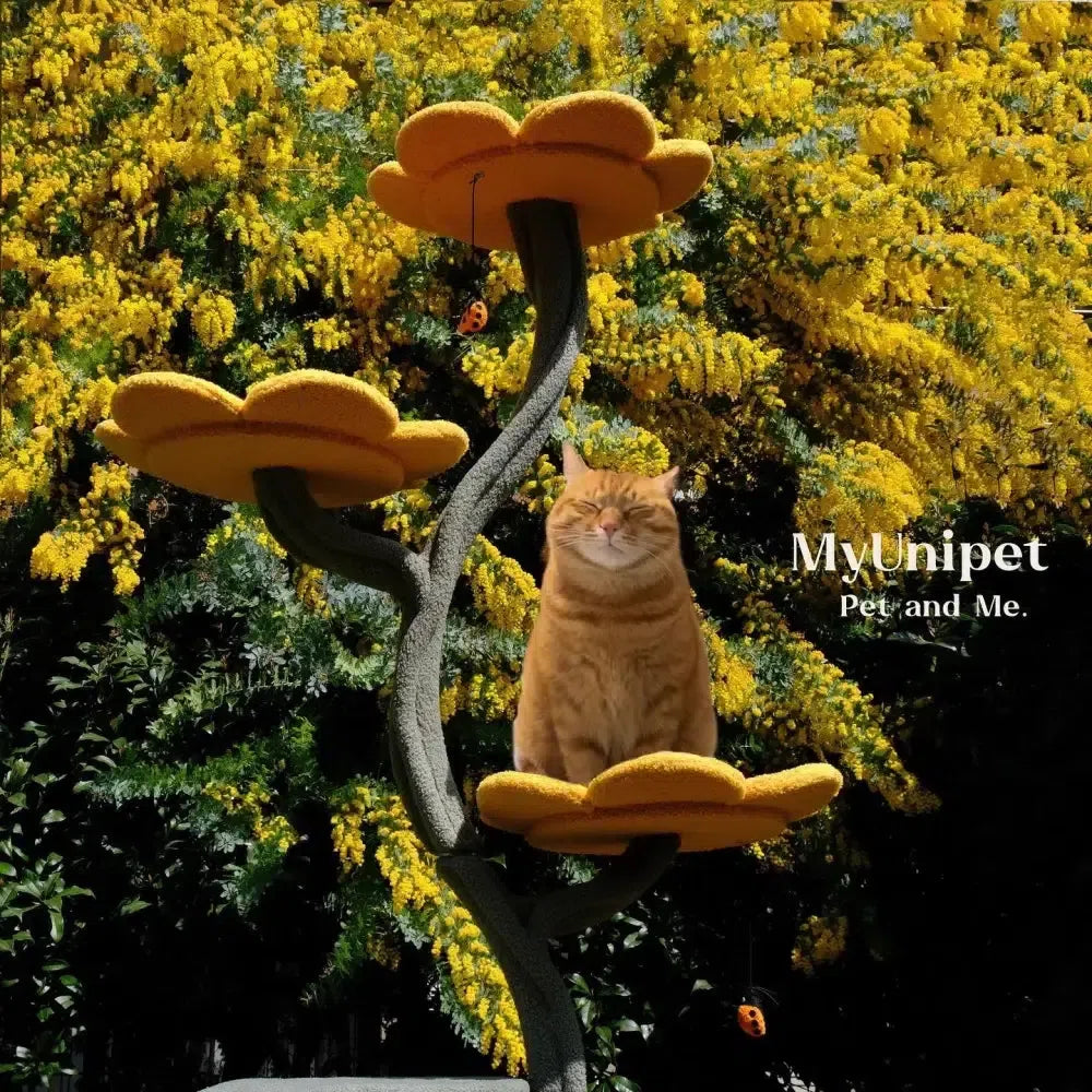 花にのる】ひまわりキャットタワー(翌営業日発送可能) – MyUnipet 花にのる】ひまわりキャットタワー(翌営業日発送可能) – MyUnipet