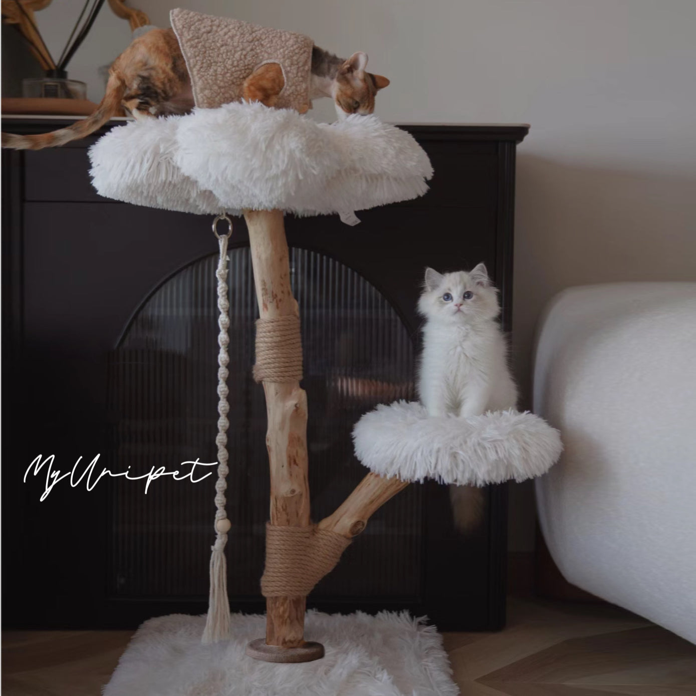 【雲にのる】無垢材キャットタワー　北欧風 木製 天然木 猫用インテリア　ペット家具（オーダーメイド）