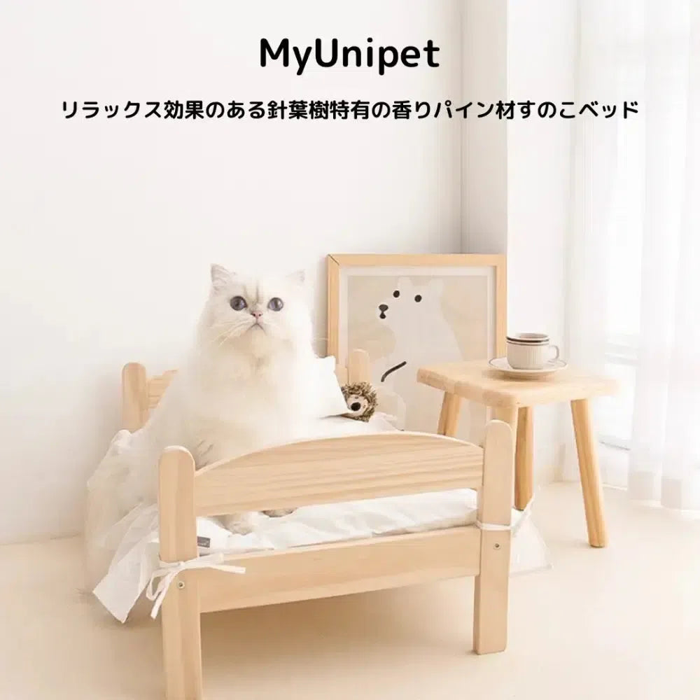天然木パイン材のペット用ベッドで快適なひとときを