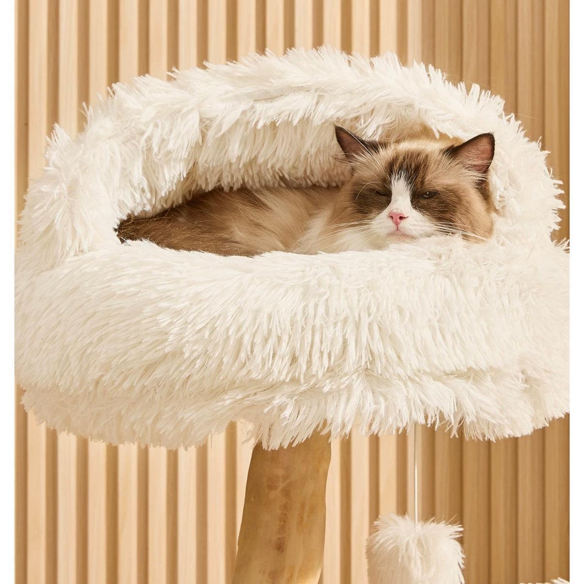 【雲にのる】北欧風 無垢材ベッド付き天然木キャットタワー (1/6以降発送可能)