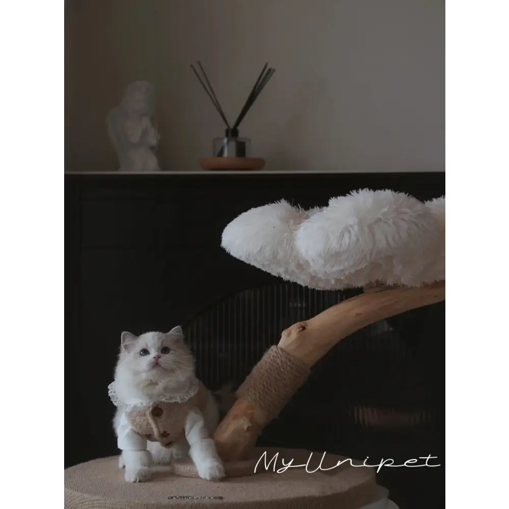 【雲にのる】無垢材キャットタワー北欧風 木製 天然木 ペット家具 猫ベッド(3月下旬納品可能)