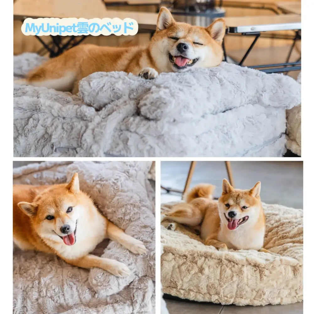 「雲の中で寝る」ペットベッド 枕付き犬用ベッド・猫用ベッド