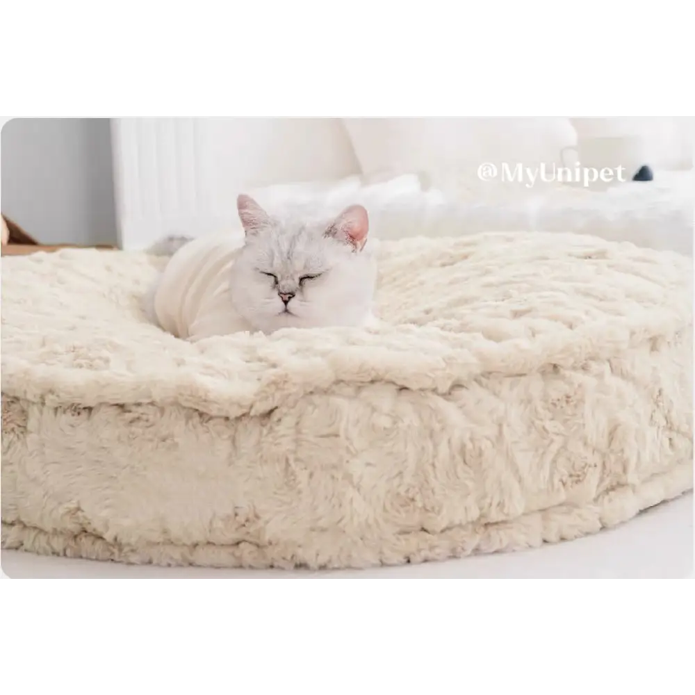「雲の中で寝る」ペットベッド 枕付き犬用ベッド・猫用ベッド