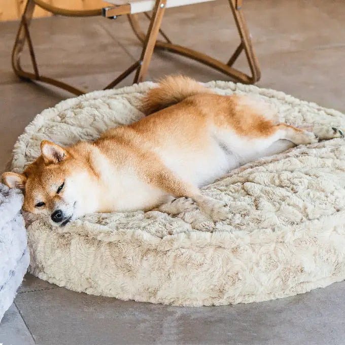 「雲の中で寝る」ペットベッド 枕付き犬用ベッド・猫用ベッド