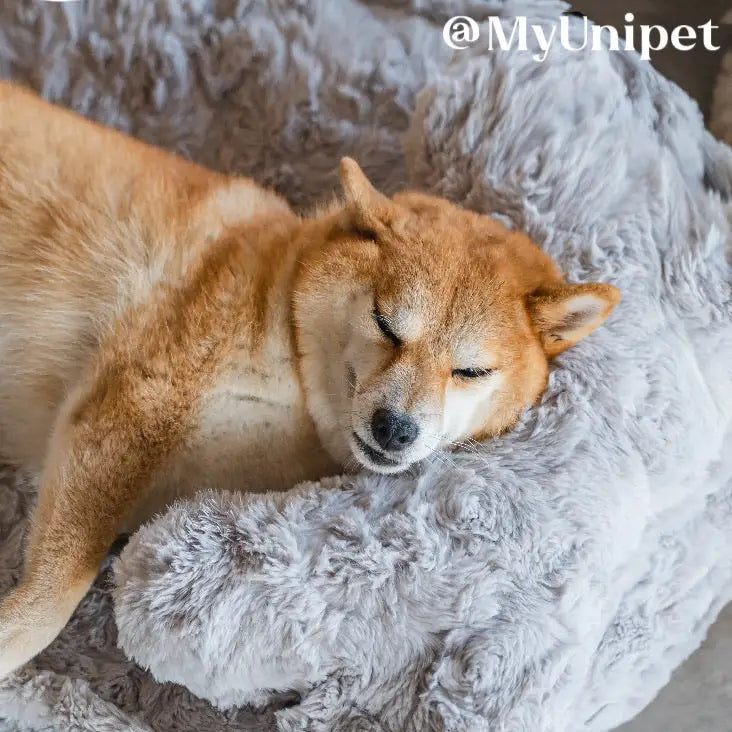 「雲の中で寝る」ペットベッド 枕付き犬用ベッド・猫用ベッド