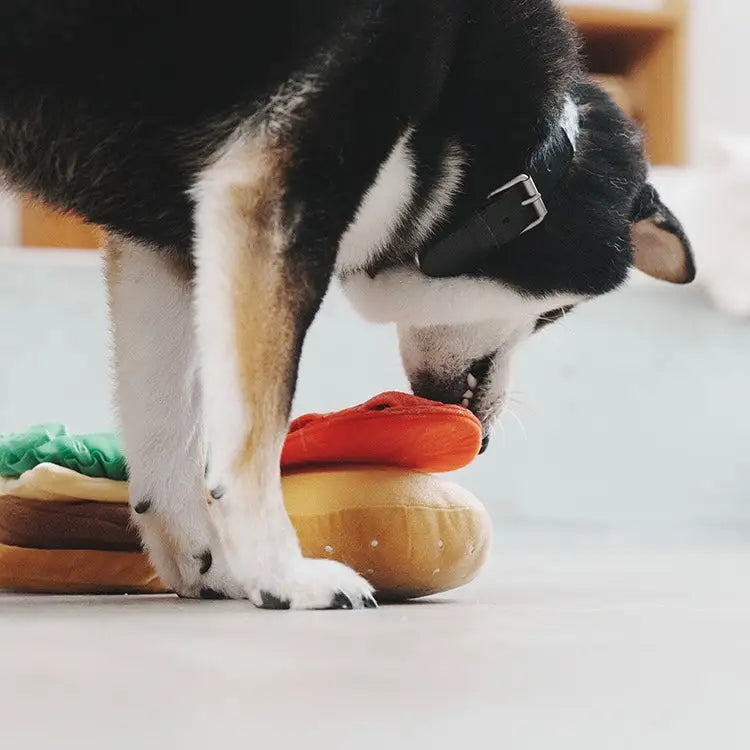 【ハンバーガーおもちゃ】犬用/猫用 知育玩具ノーズワーク おやつ隠し ストレス解消