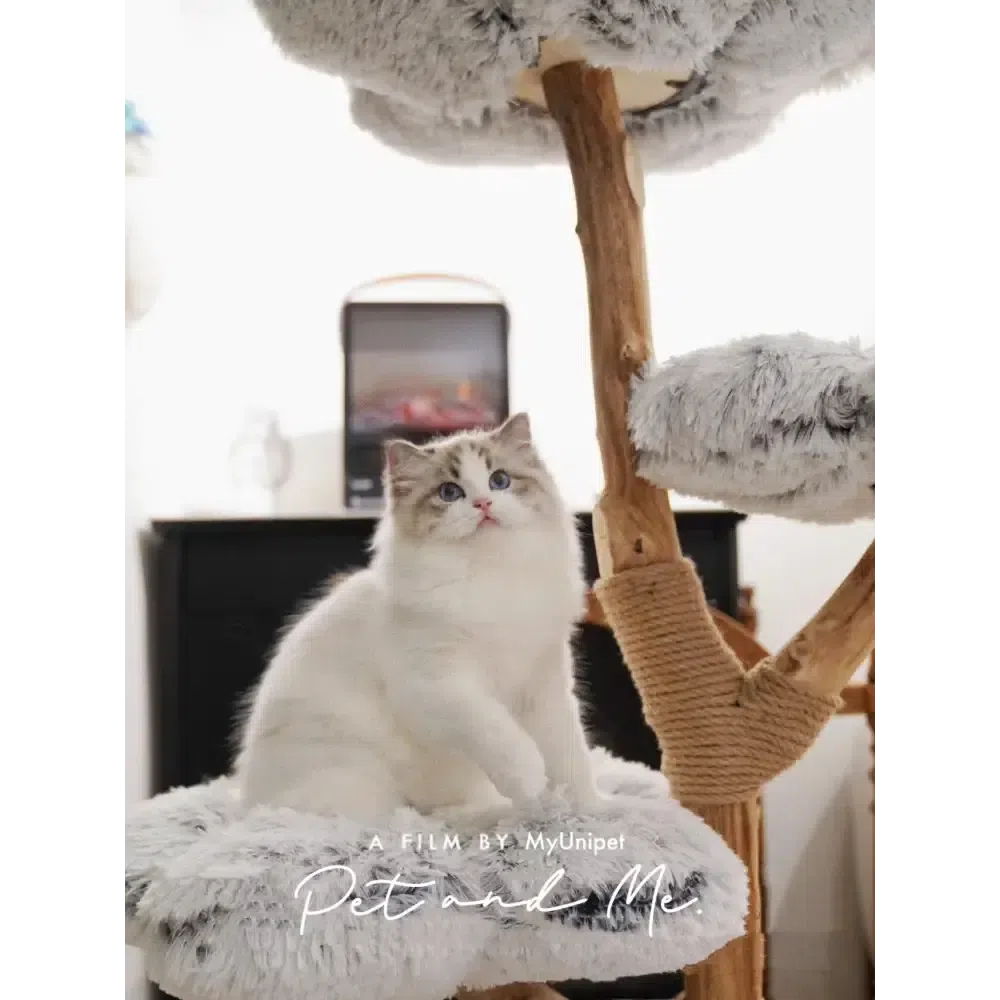 【雲にのる】北欧風キャットタワーのクッションでくつろぐ、愛猫の至福のひととき