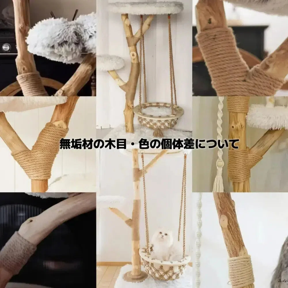 【雲にのる】天然無垢材キャットタワーの自然が織りなす美しい木目と色合いのコントラスト