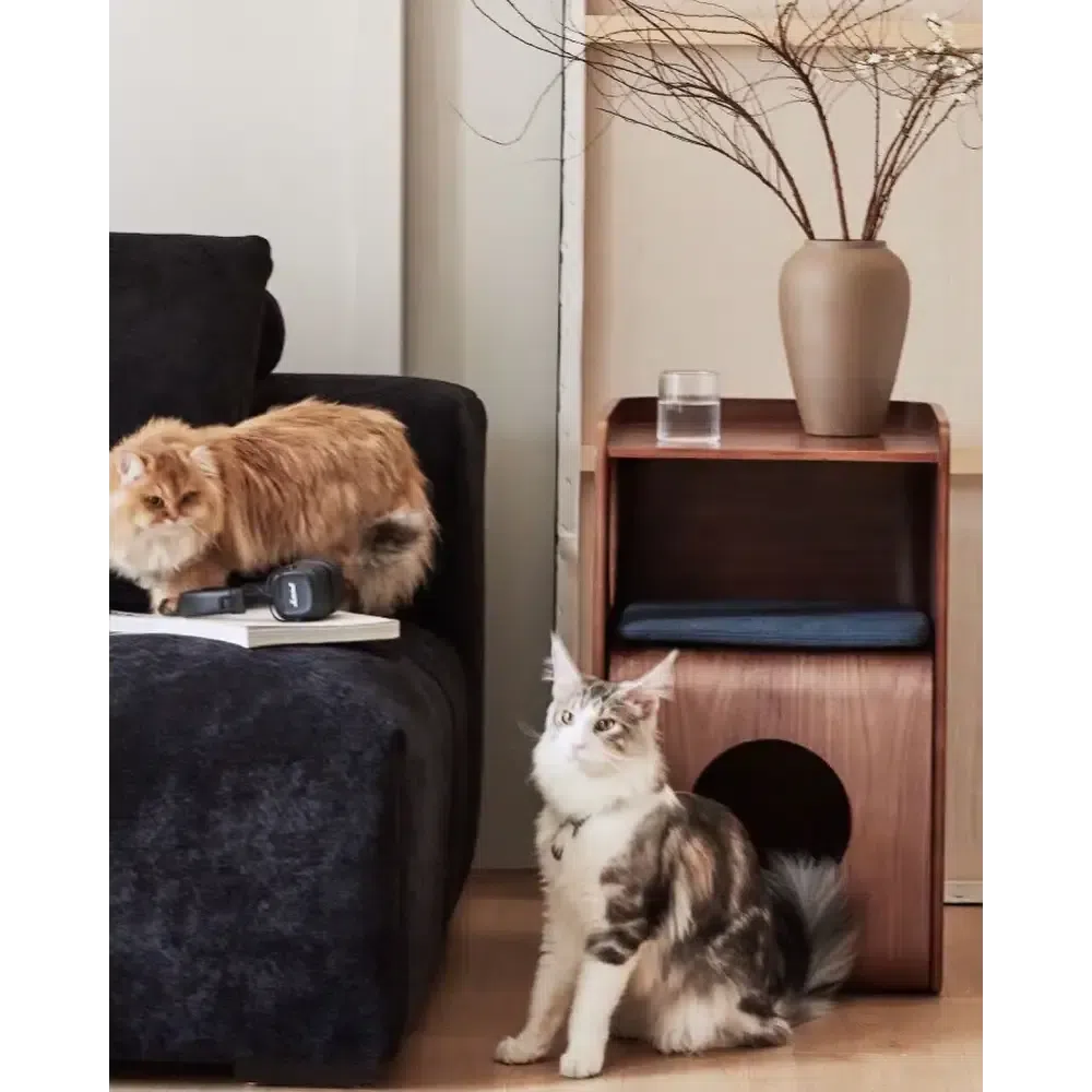ペットと過ごす曲げ木サイドテーブル 椅子 多目的ペット家具 北欧 おしゃれ 猫ベッド/犬ベッド マット付き 天然木