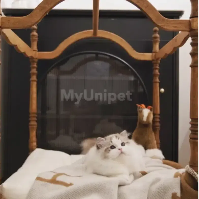 【ローマの休日】高級天然木製ペットベッド キャノピーベッド 猫用ベッド 犬用ベッド 高級ペット家具(受注製作)