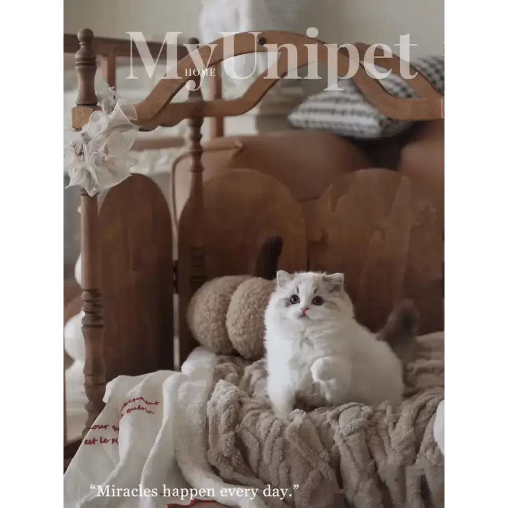 【ローマの休日】高級天然木製ペットベッド キャノピーベッド 猫用ベッド 犬用ベッド 高級ペット家具(受注製作)