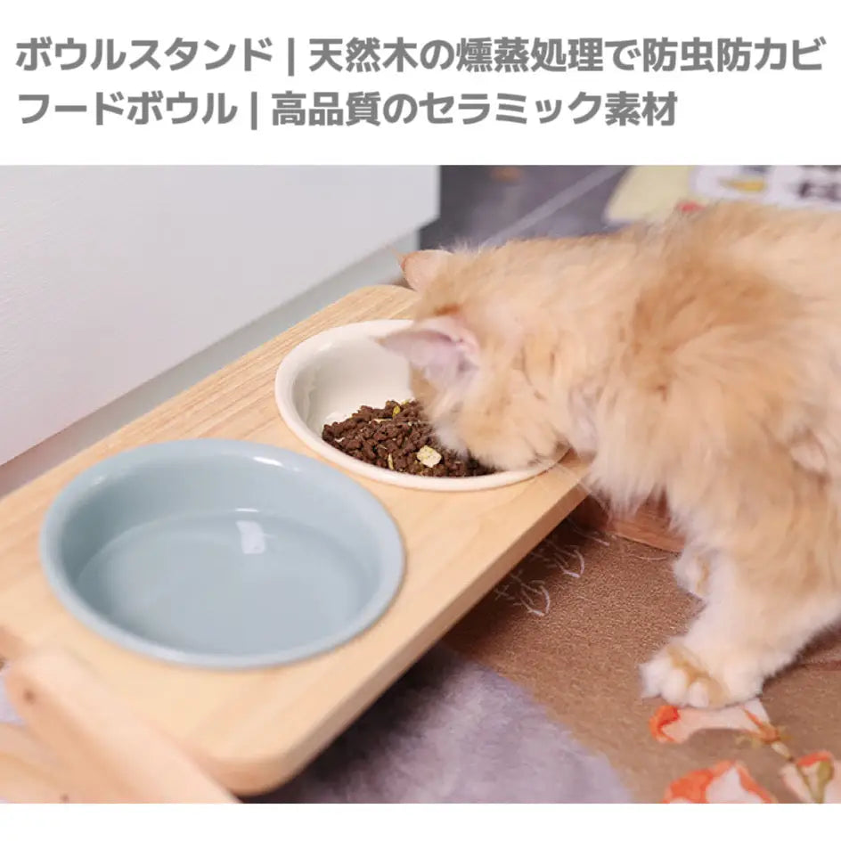 【うちの子フードボウルスタンド】うちの子を世界に1つだけのアート作品 持ち運びやすい犬キャンプ用