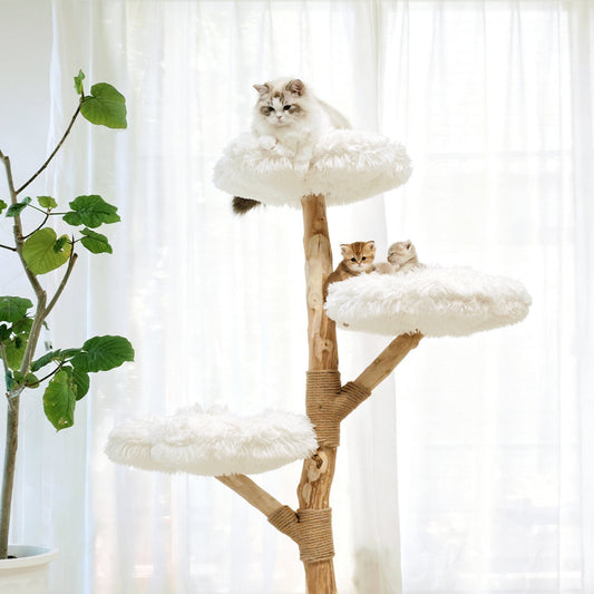 🐾 猫とブリーダー、そしてMyUnipetの魔法のような出会い