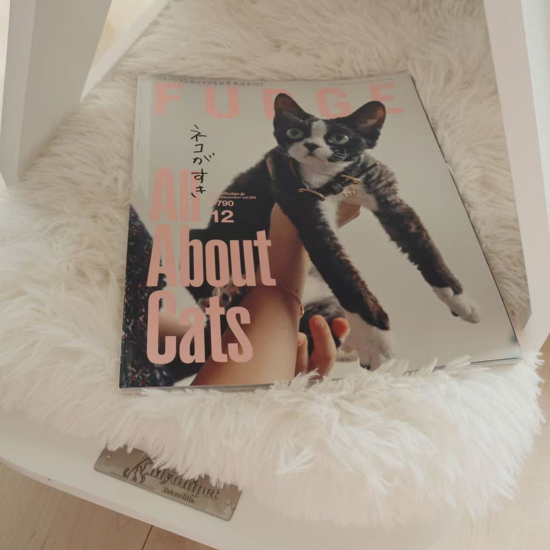 『FUDGE -ファッジ- 2025年12月号 Vol.269』に「雲に乗るシリーズ 3段キャットタワー」が紹介されました