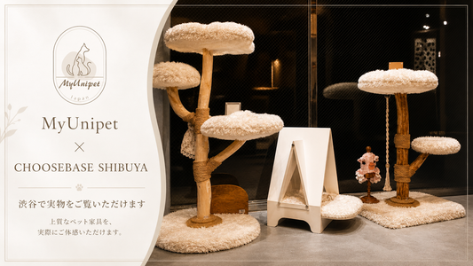 渋谷でMyUnipetの商品をご覧いただけるようになりました｜アンケート回答でクーポンプレゼント