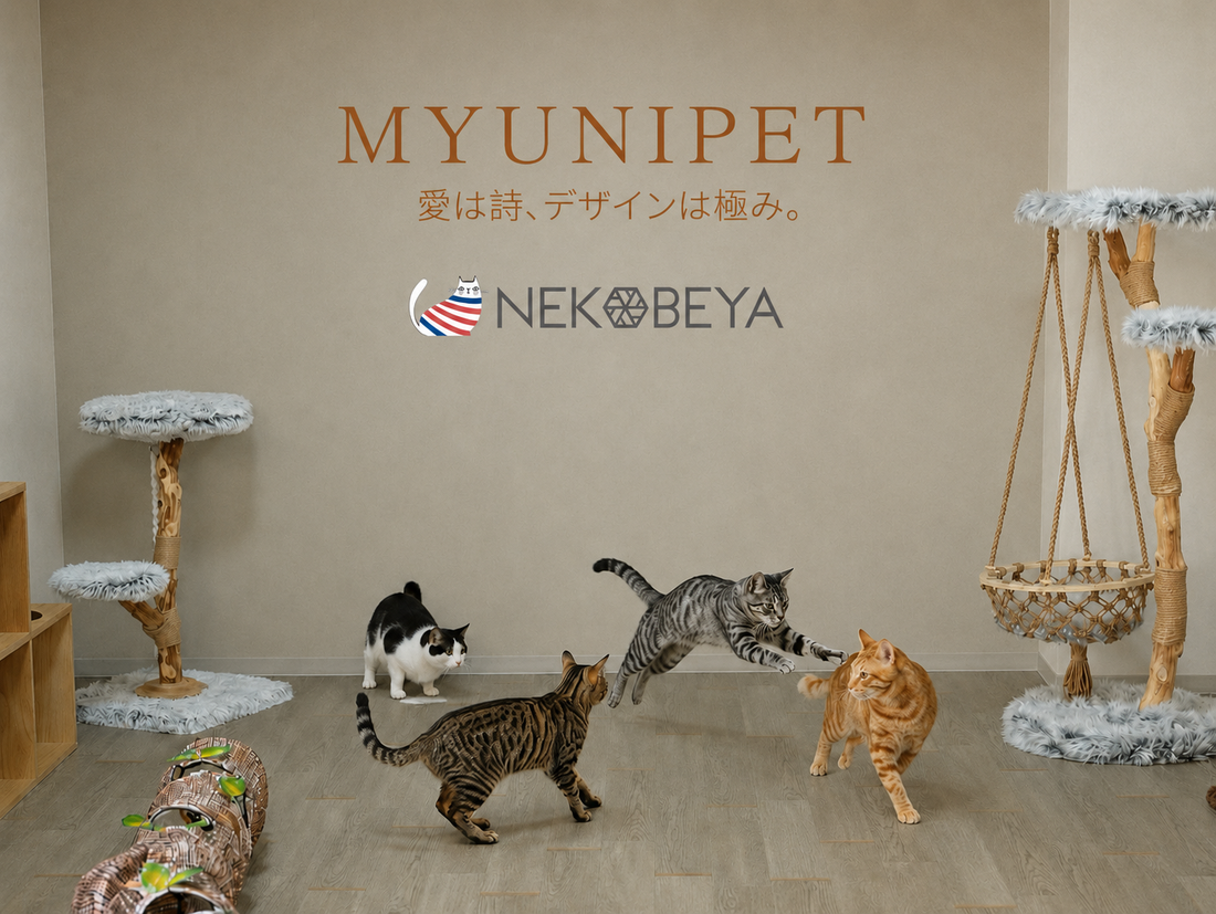 【導入事例】猫専門ホテル「ねこべや港区本店」様を訪問｜猫にも、人にも心地よい空間づくり