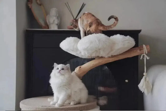 キャットタワーが必要？キャットタワーの選び方をご紹介
