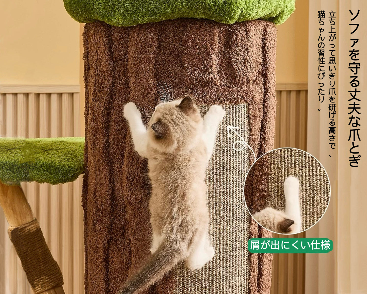 【森に住む】切り株と苔の楽園 安心の低重心タワー（2025年11月下旬から発送予定）