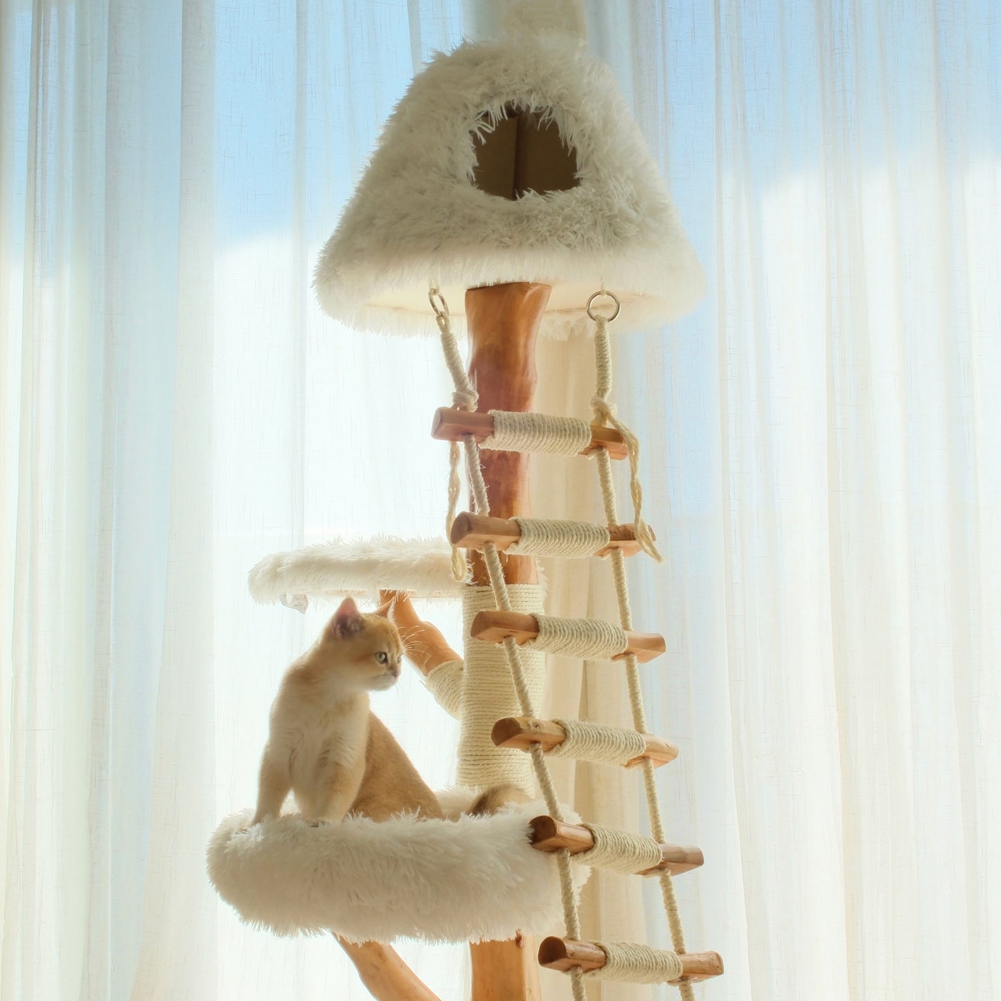 【雲にのる】天空の階段キャットタワー（翌営業日発送可能）