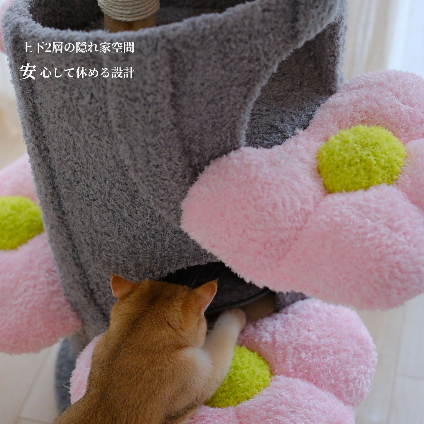 Sakura Bloom Cat Tower 桜シーズン限定モデル 高級キャットタワー(翌営業日発送可能）