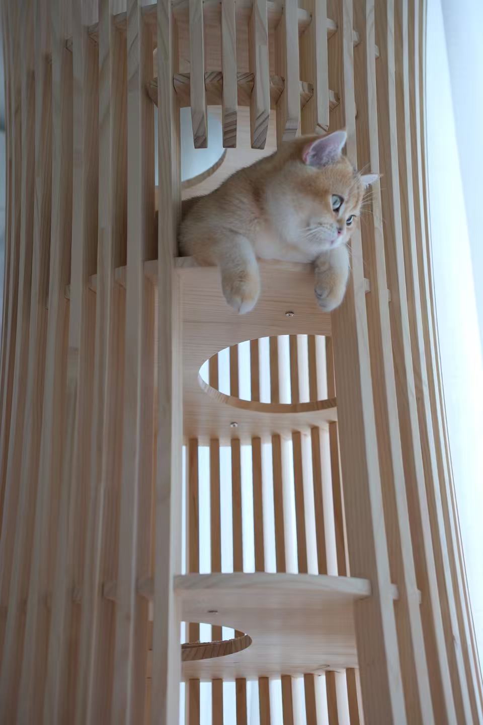 雅】透ける木漏れ日キャットタワー和風 天然木 超高級猫家具【2週間