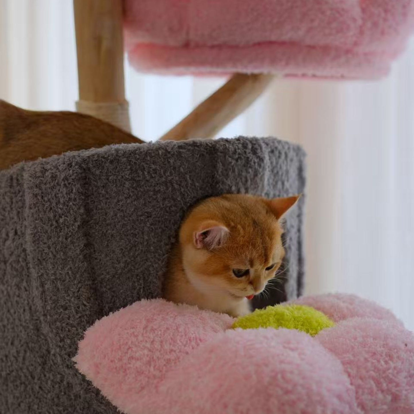 Sakura Bloom Cat Tower 桜シーズン限定モデル 高級キャットタワー(翌営業日発送可能）