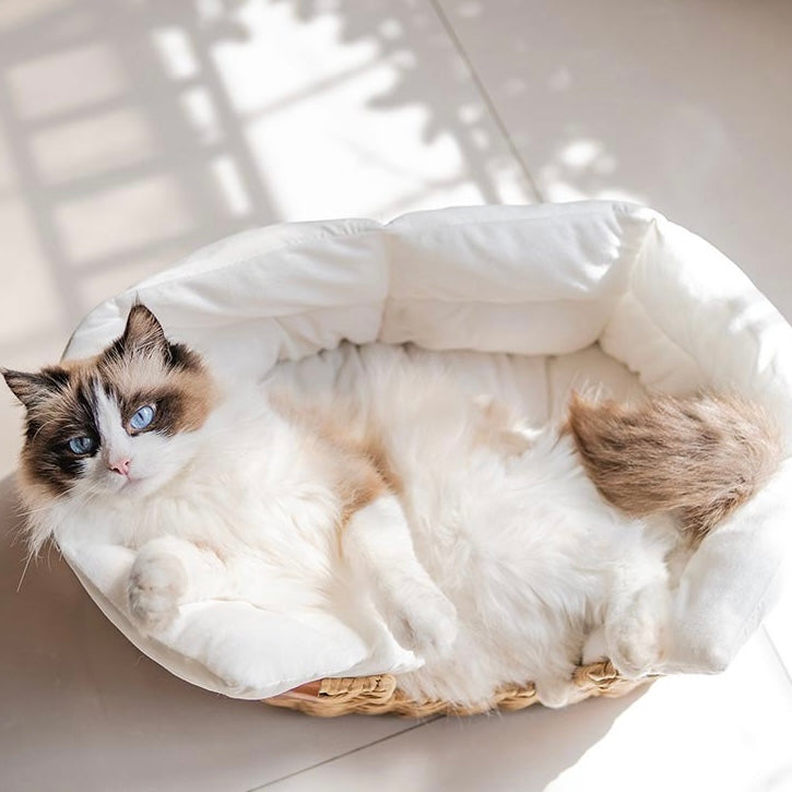 北欧風手編み猫ベッド/犬ベッド 天然素材 ペットベッド クッション付き – MyUnipet