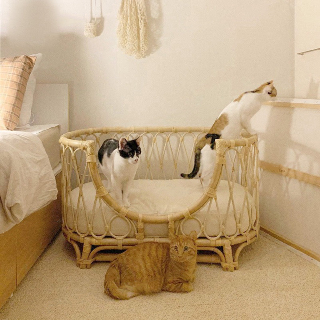myunipet猫用ベッド