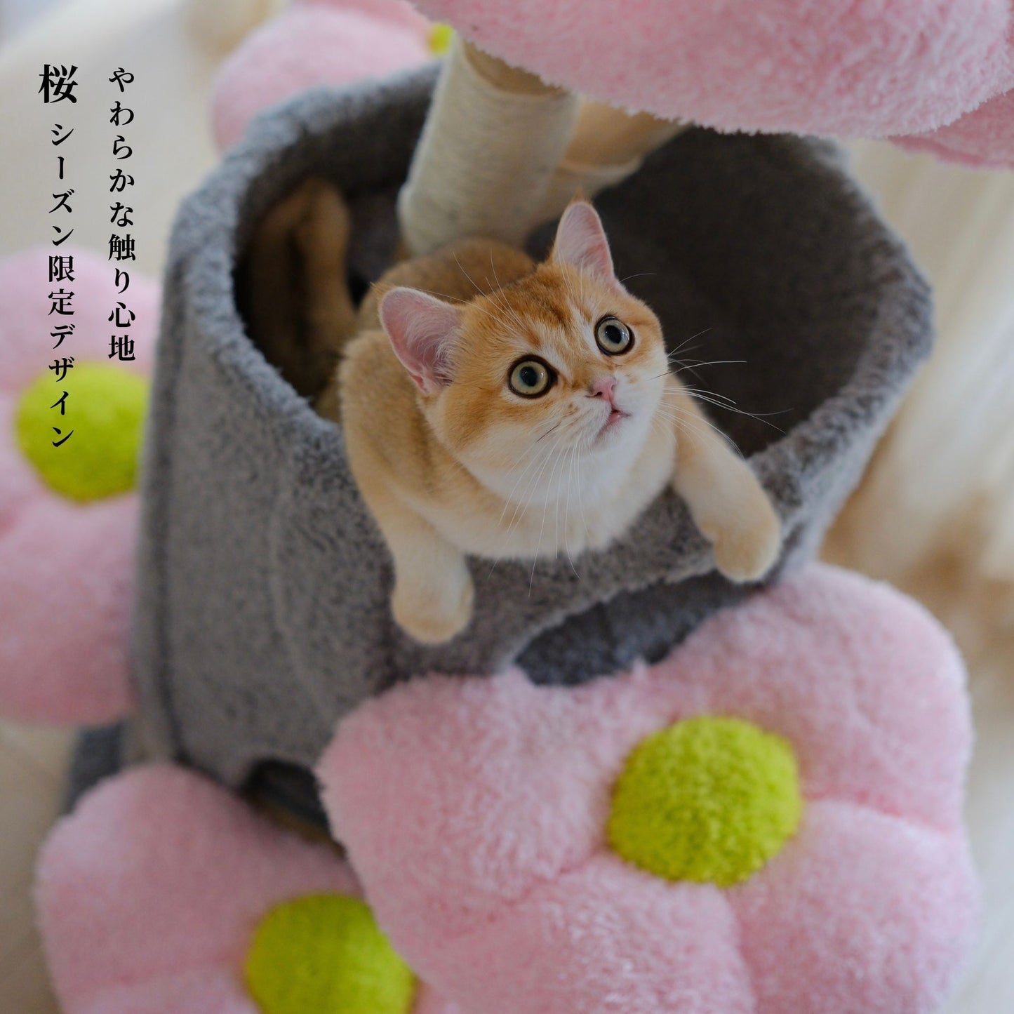 Sakura Bloom Cat Tower 桜シーズン限定モデル 高級キャットタワー(翌営業日発送可能）