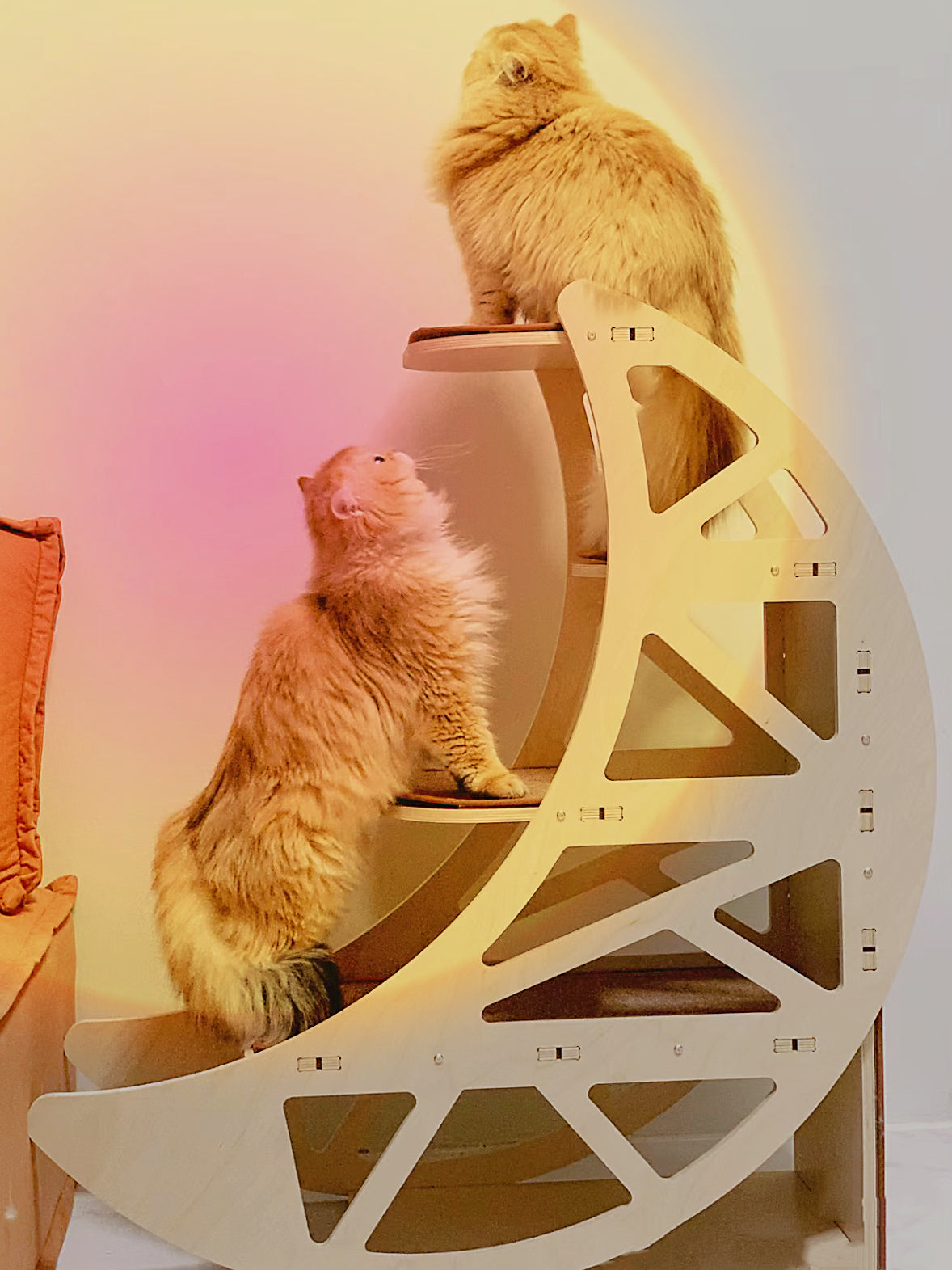 【月にのる】キャットタワー 北欧風 木製 天然木 猫用インテリア　ペット家具 （オーダーメイド）