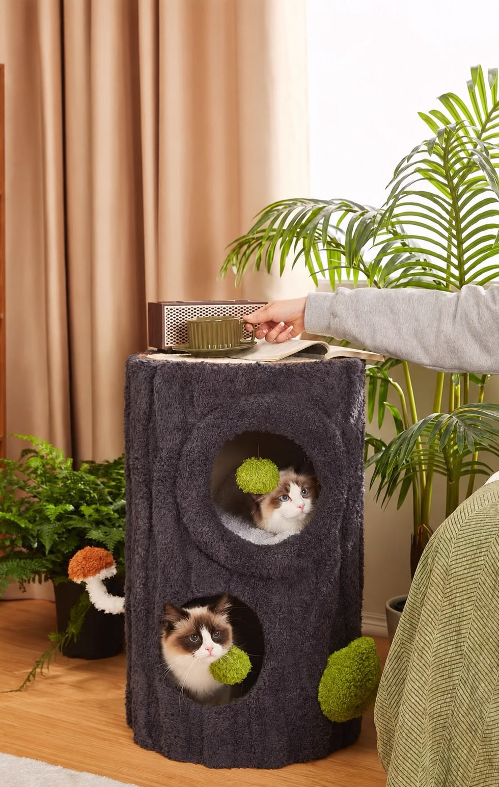 ひとつの家具を、人と猫で。