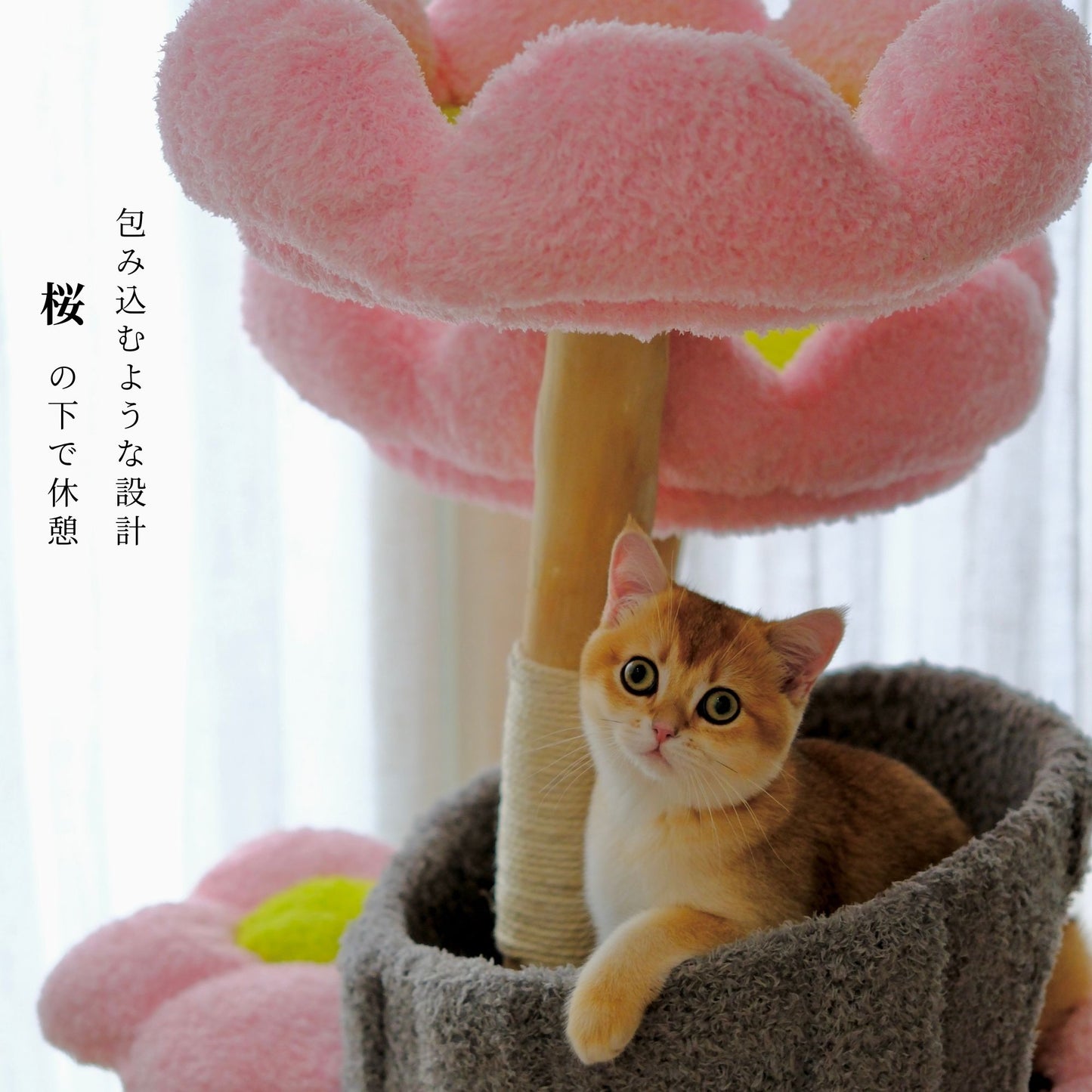 Sakura Bloom Cat Tower 桜シーズン限定モデル 高級キャットタワー(翌営業日発送可能）