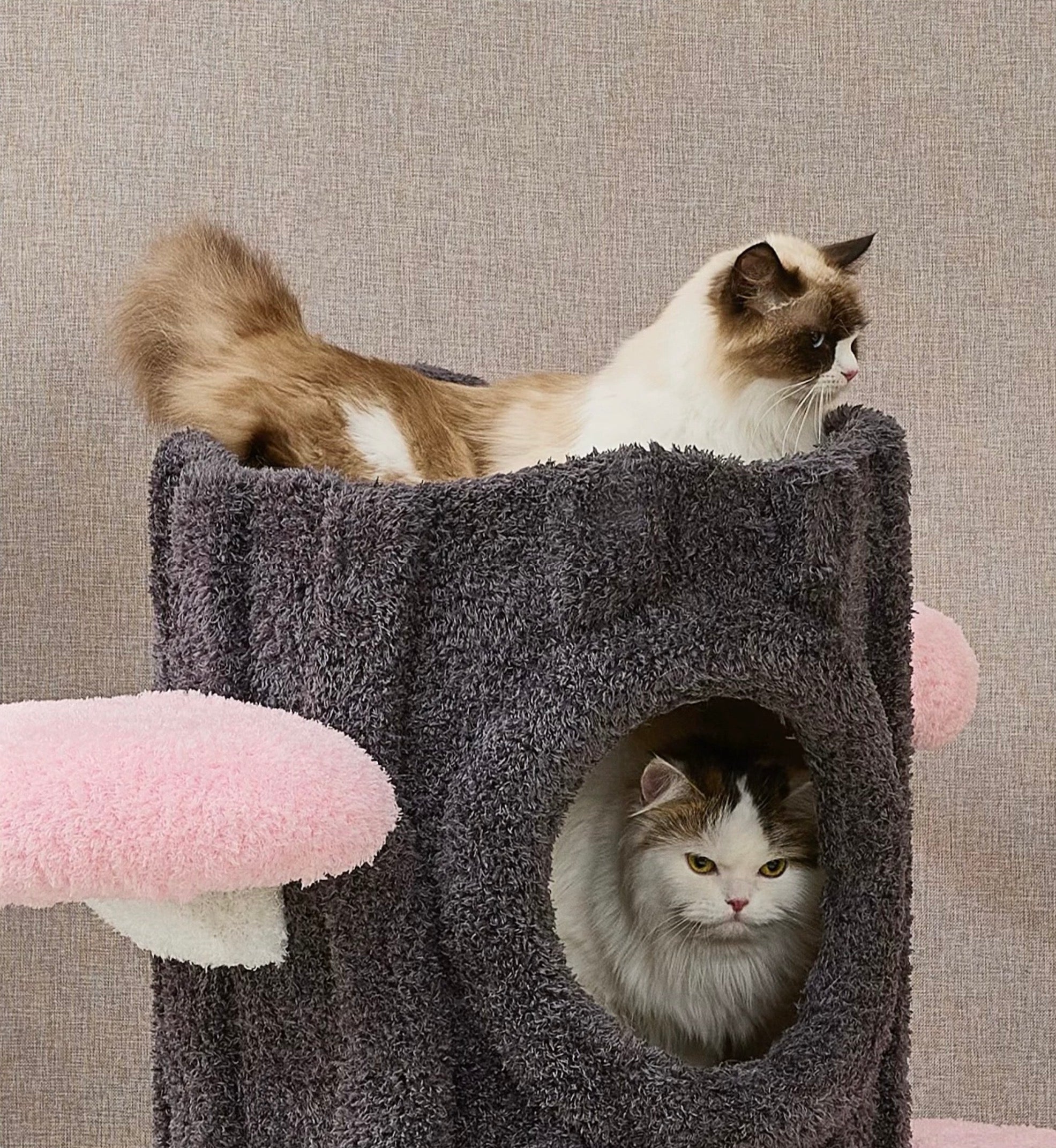 桜にのる】高級キャットタワー｜大型猫・多頭飼いにおすすめ｜通天
