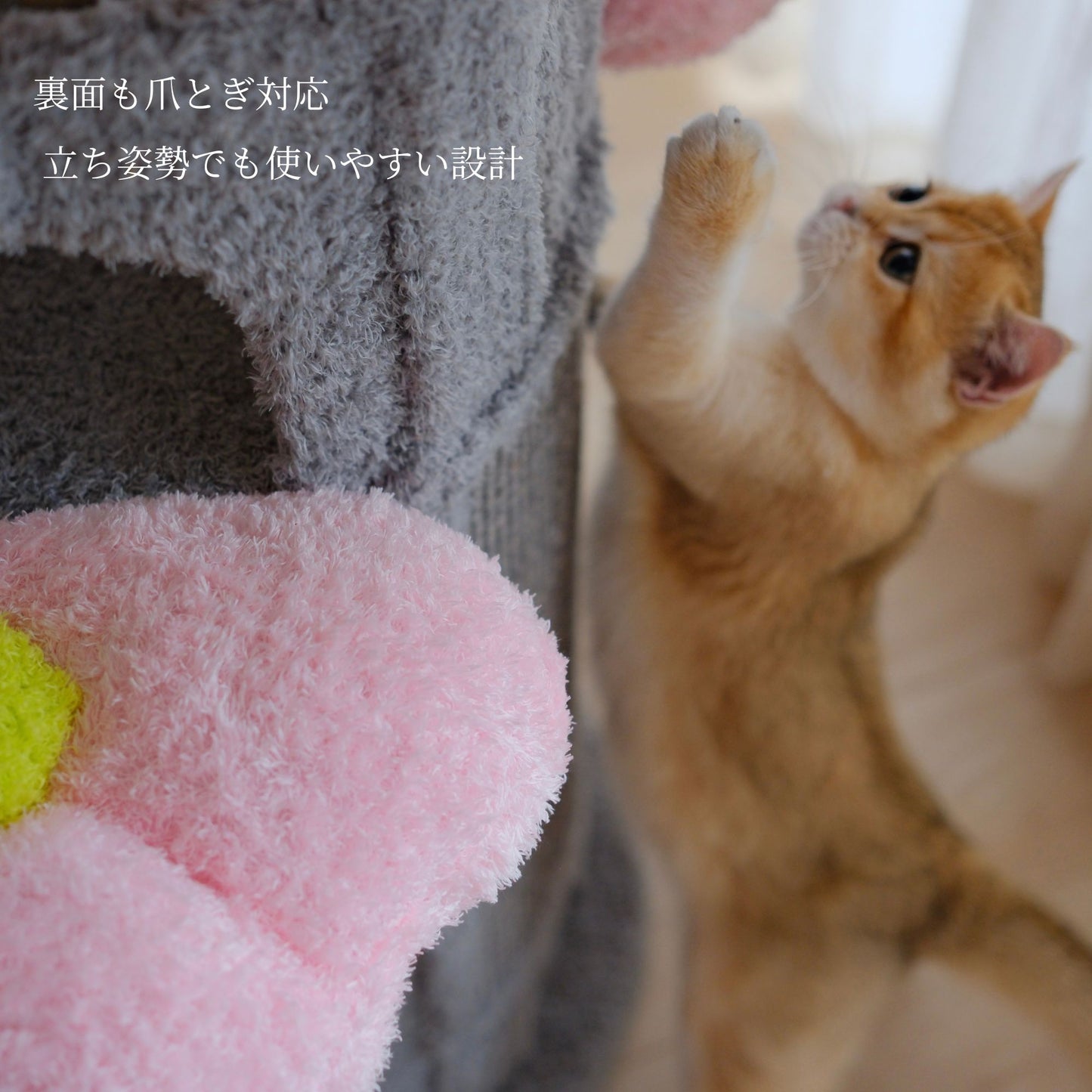 Sakura Bloom Cat Tower 桜シーズン限定モデル 高級キャットタワー(翌営業日発送可能）