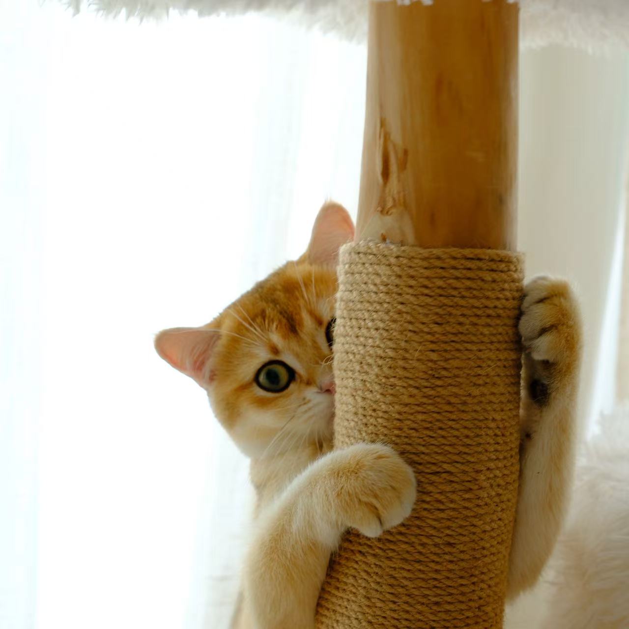 【雲にのる】無垢材キャットタワー　北欧風  天然木 ペット家具　(翌営業日発送可能）