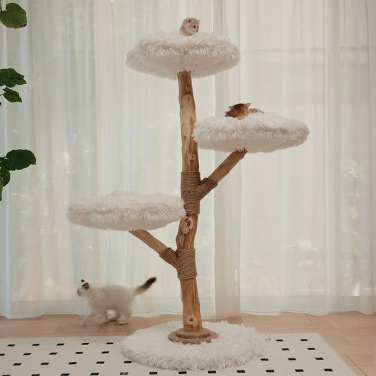 【雲にのる】 3段無垢材天然木キャットタワー （翌営業日発送可能）