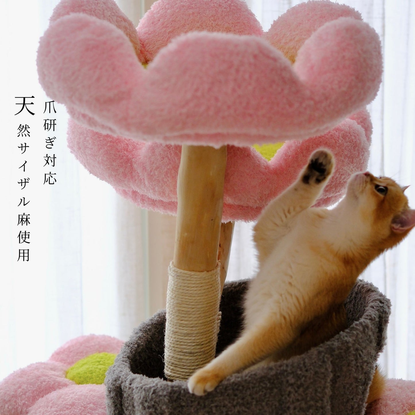 Sakura Bloom Cat Tower 桜シーズン限定モデル 高級キャットタワー(翌営業日発送可能）