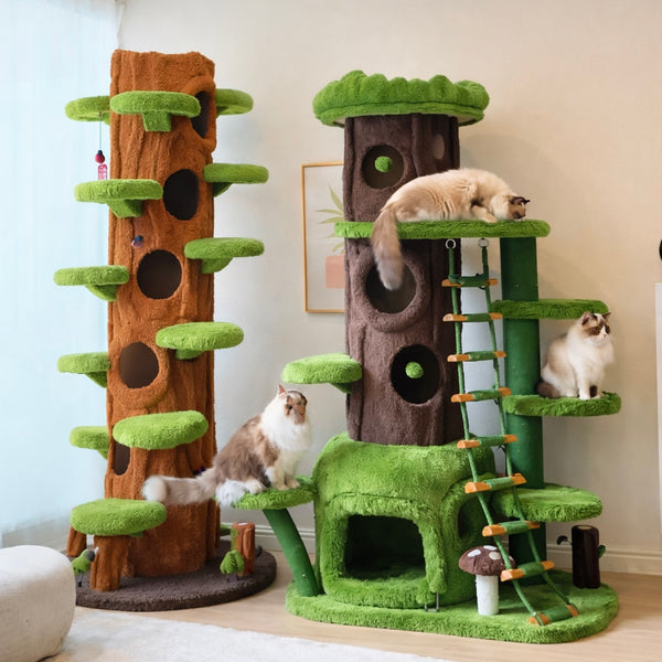 猫家具のおすすめセット｜MyUnipet（5月7日から順次発送）