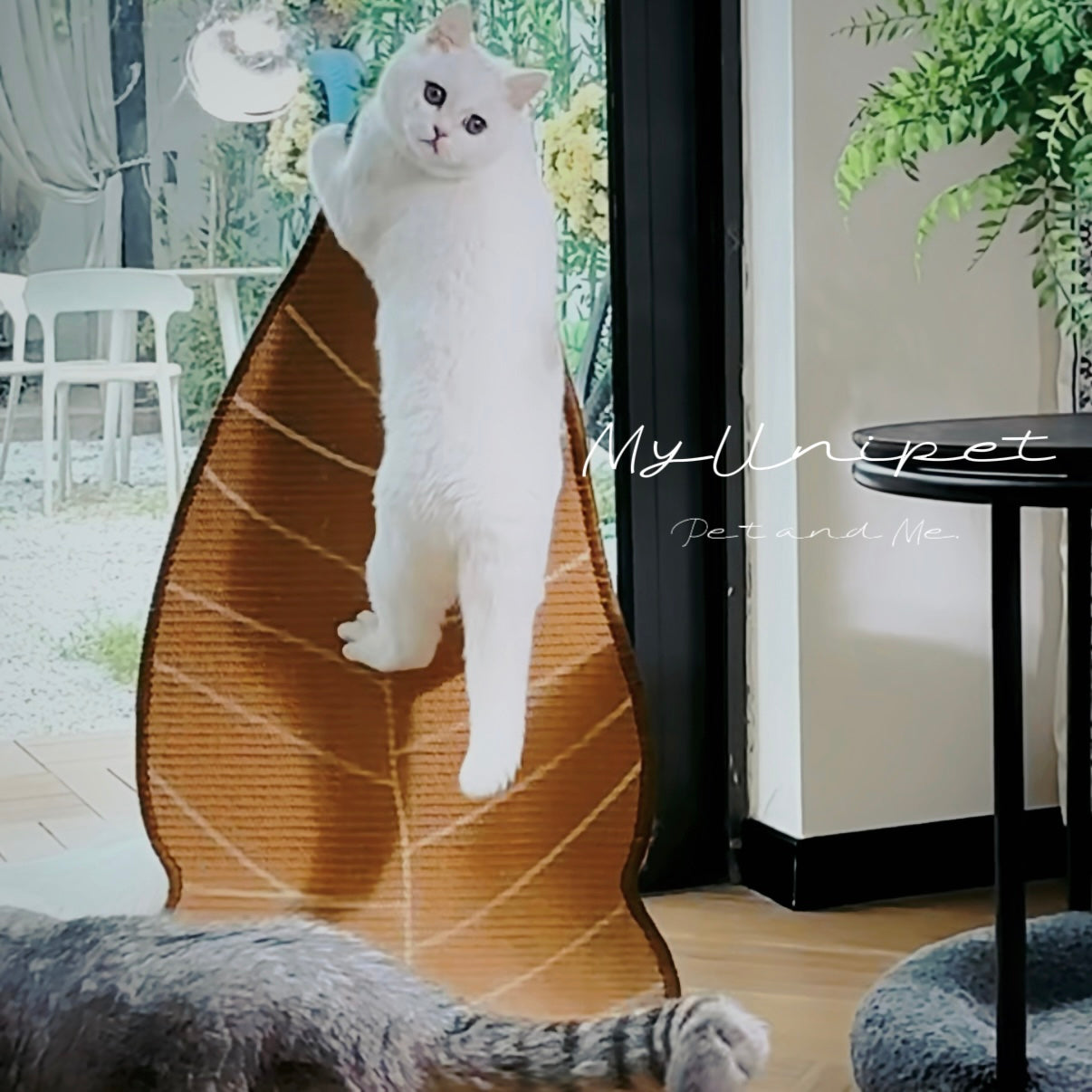 キャットスクラッチリーフ｜猫用爪とぎ＆くつろぎベッド葉っぱ型キャットスクラッチャー｜サイザル麻×北欧デザインの猫用爪とぎベッド【受注製作】