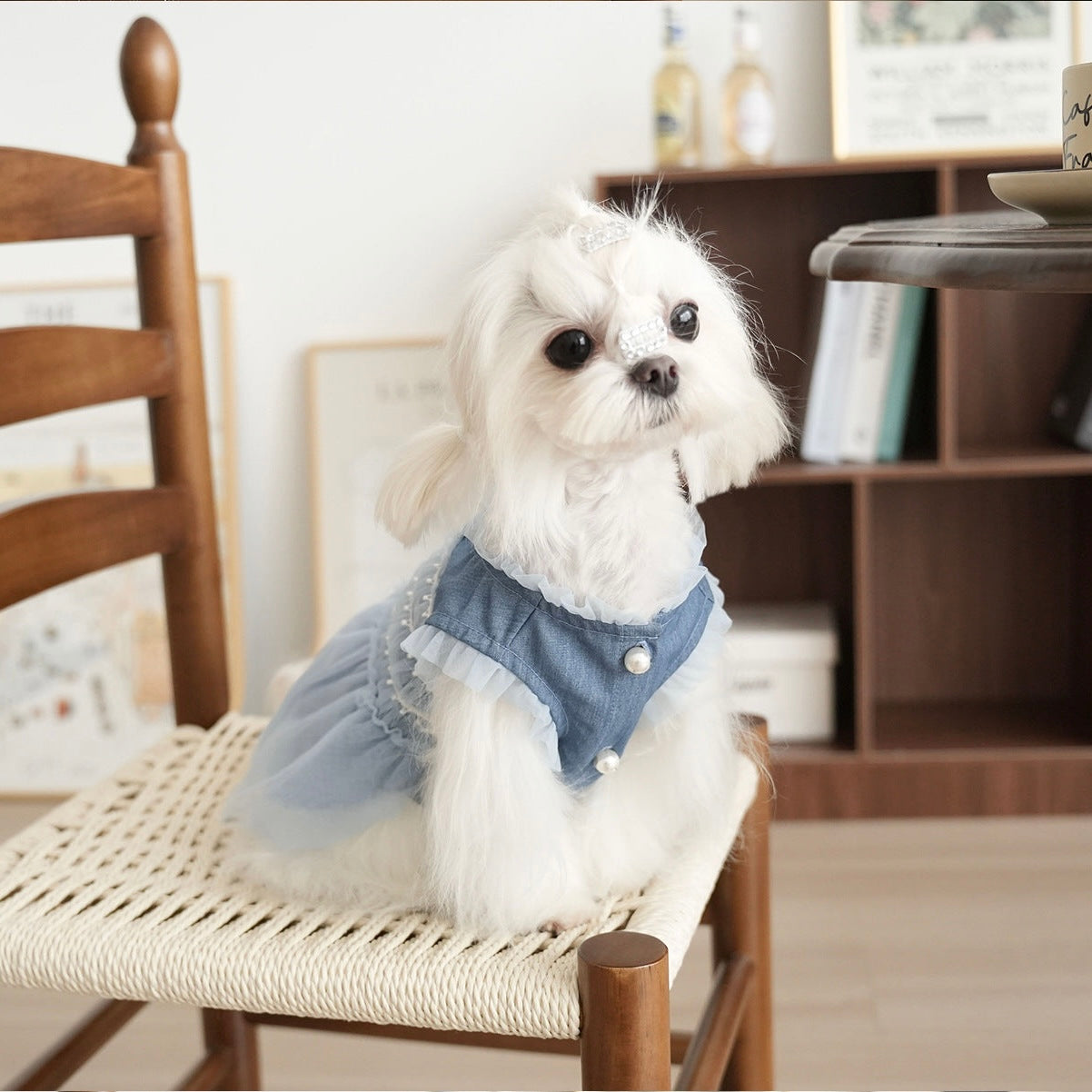 ブルーデニム×チュールの小型犬ドレス｜おしゃれな犬用パーティー服 犬用ワンピース・5サイズ