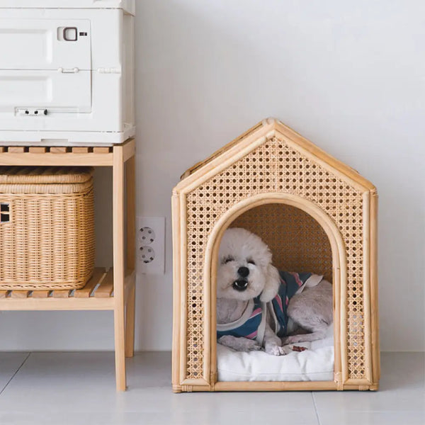 Gao-Ji-Tian-Ran-Teng-Mao-Yong-