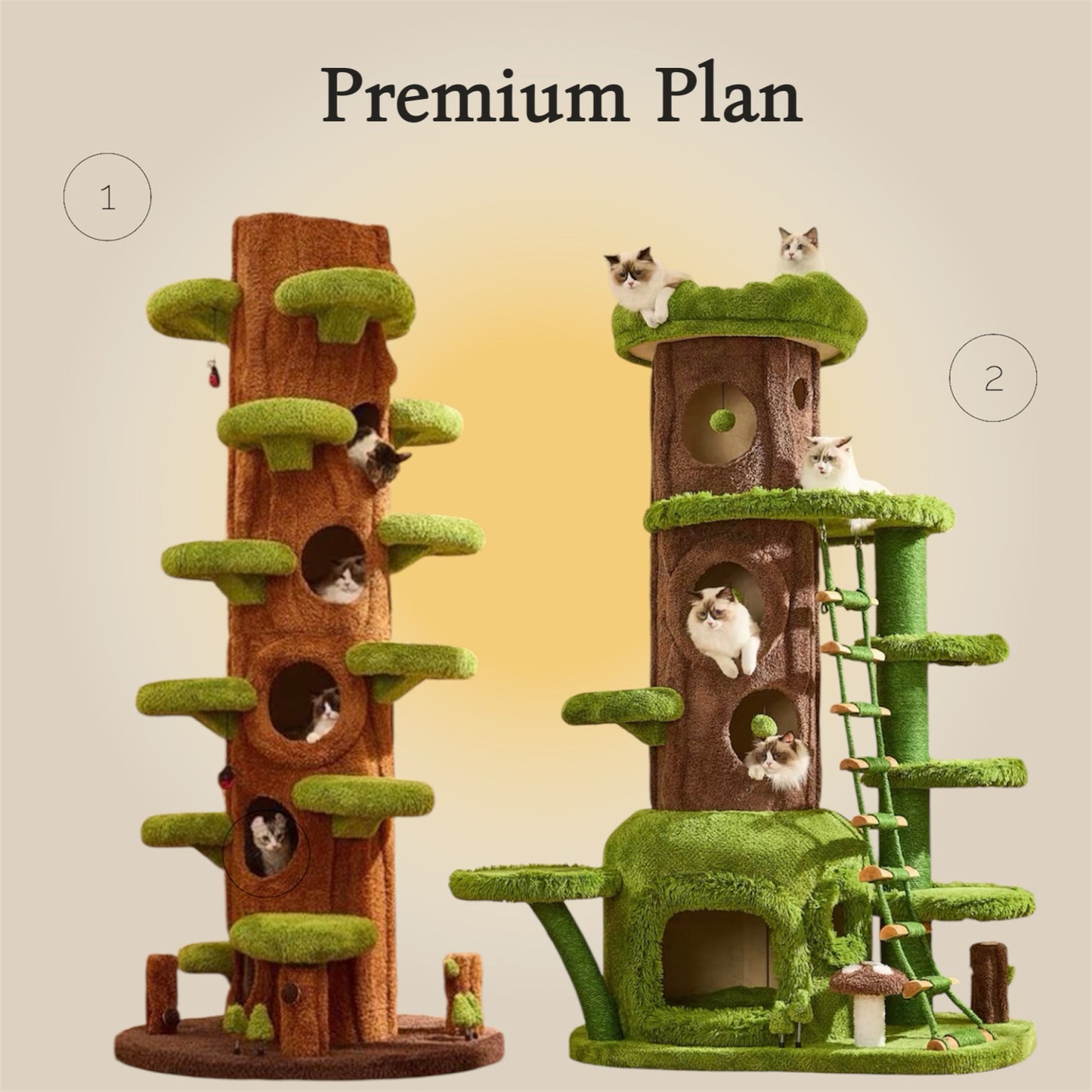 【4/13まで｜新生活キャンペーン】キャットタワーと猫家具で整える春の暮らし｜MyUnipet