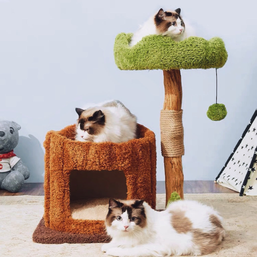 【木にのる】ベッド付き無垢材キャットタワー 天然木 北欧風　多猫世帯 据え置き型キャットタワー