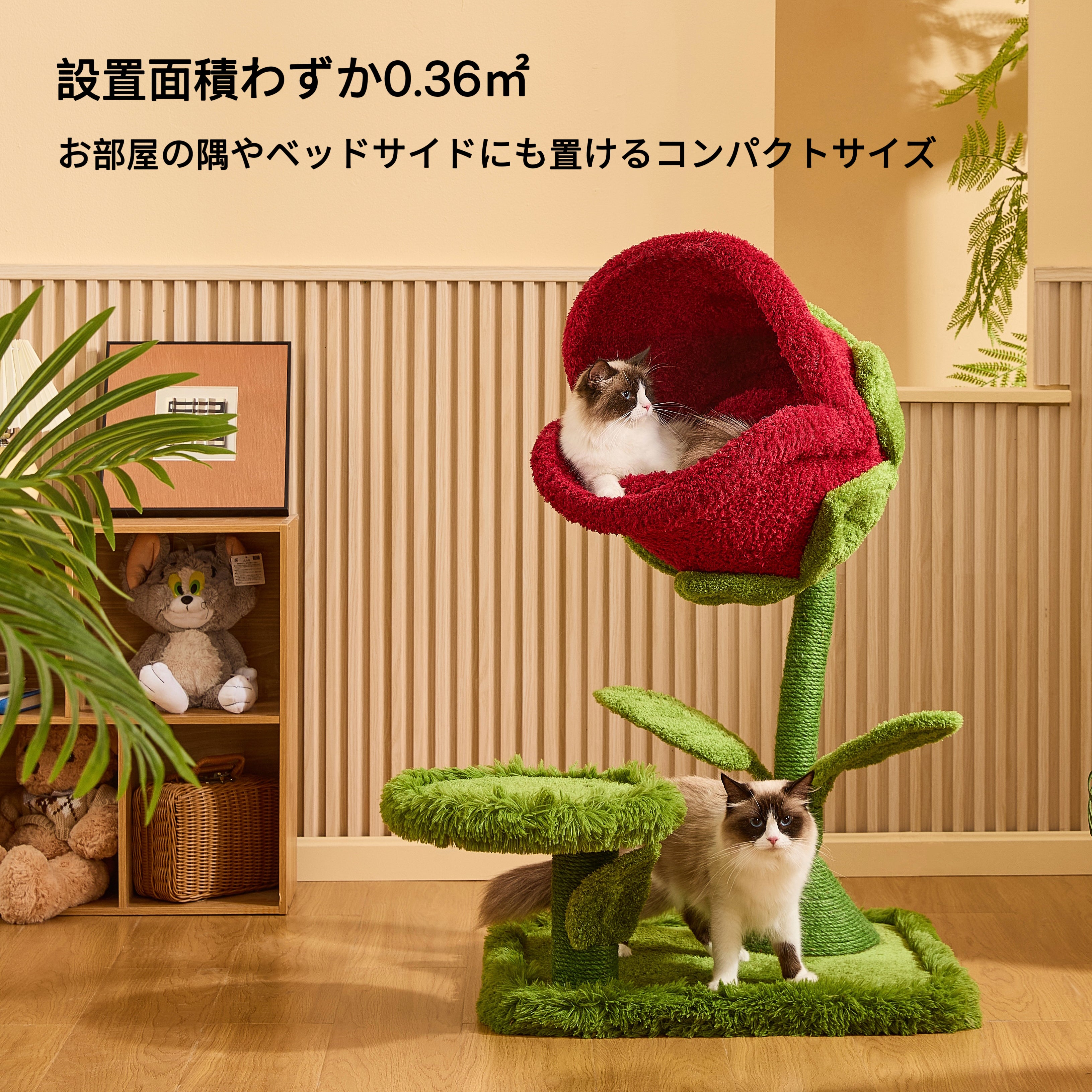 IMG-5455.jpg?v=1762587713&