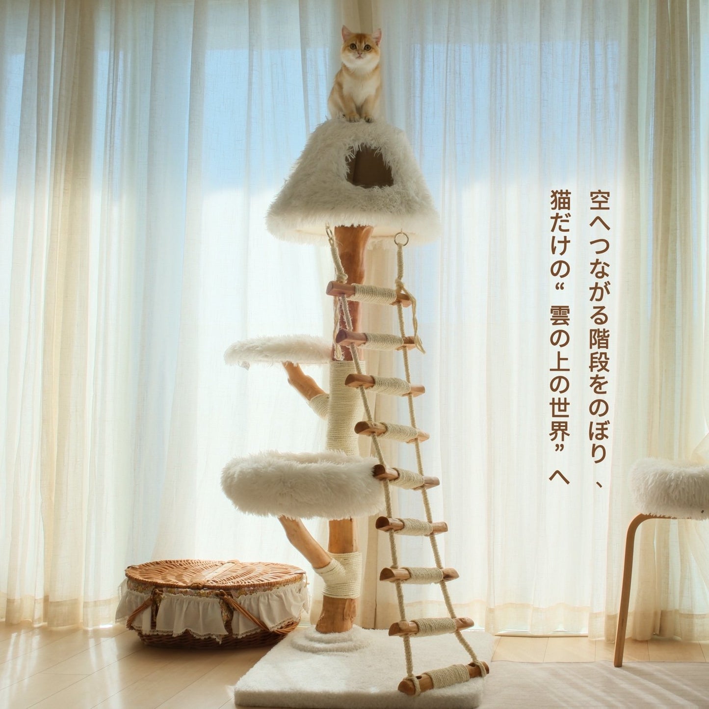 【雲にのる】天空の階段キャットタワー（翌営業日発送可能）